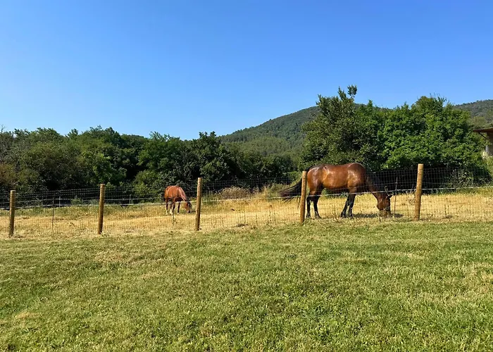 度假居 Mas Ca La Rossa 赫罗纳