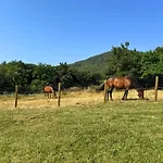 Mas Ca La Rossa * Girona